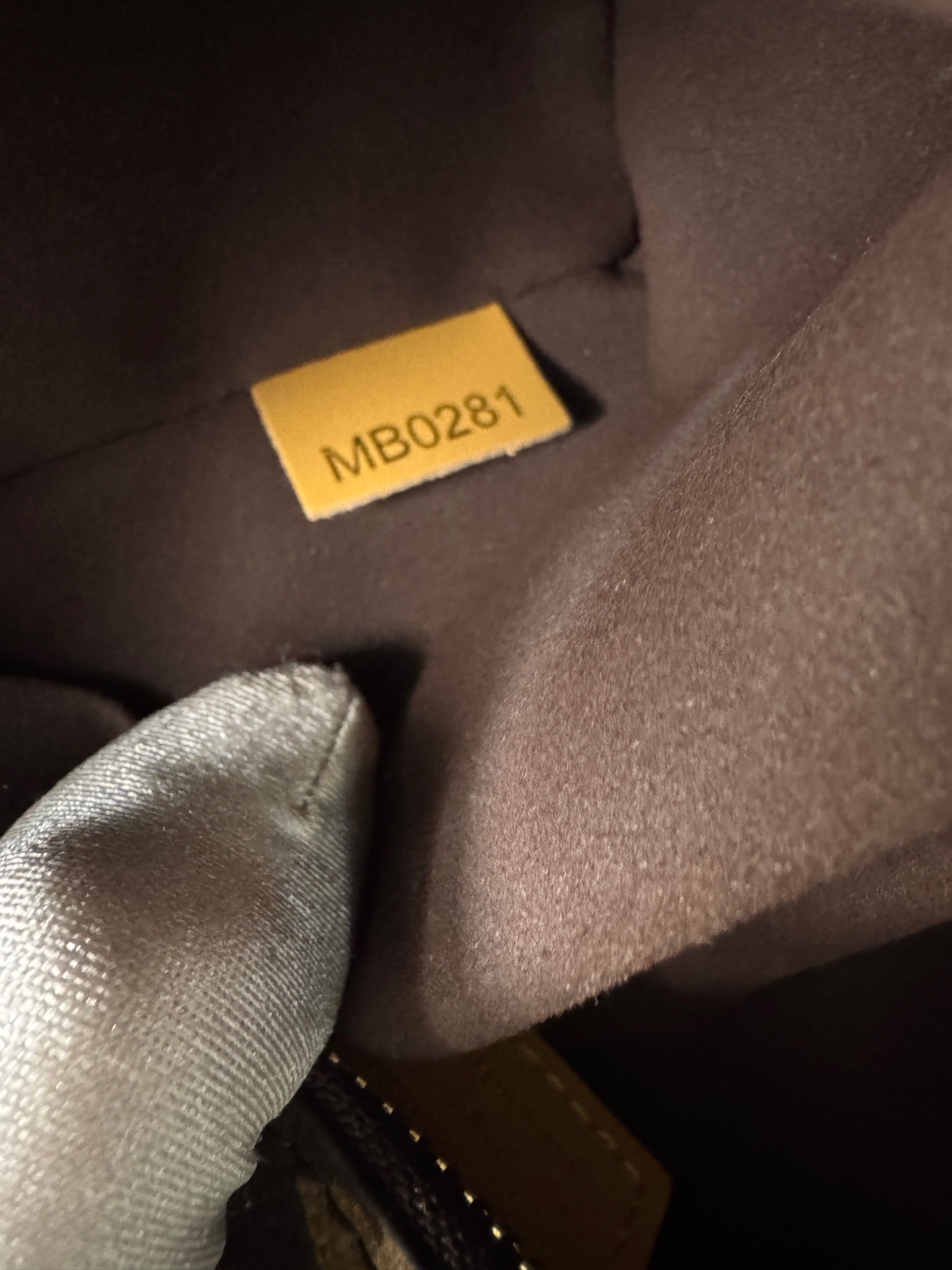 Louis Vuitton Side Trunk