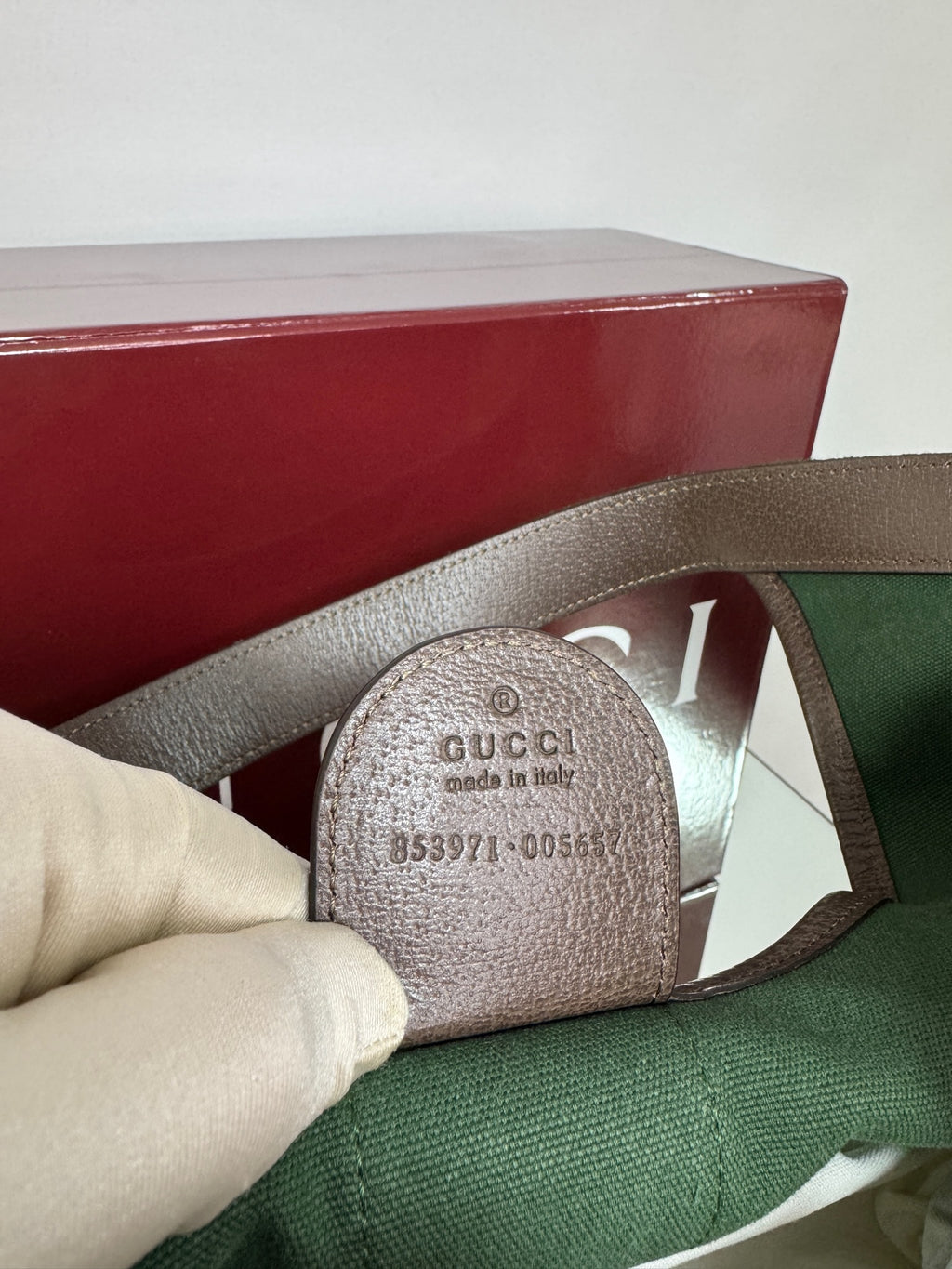 Gucci Giglio Bag – GG Canvas Beige & Dark Brown
