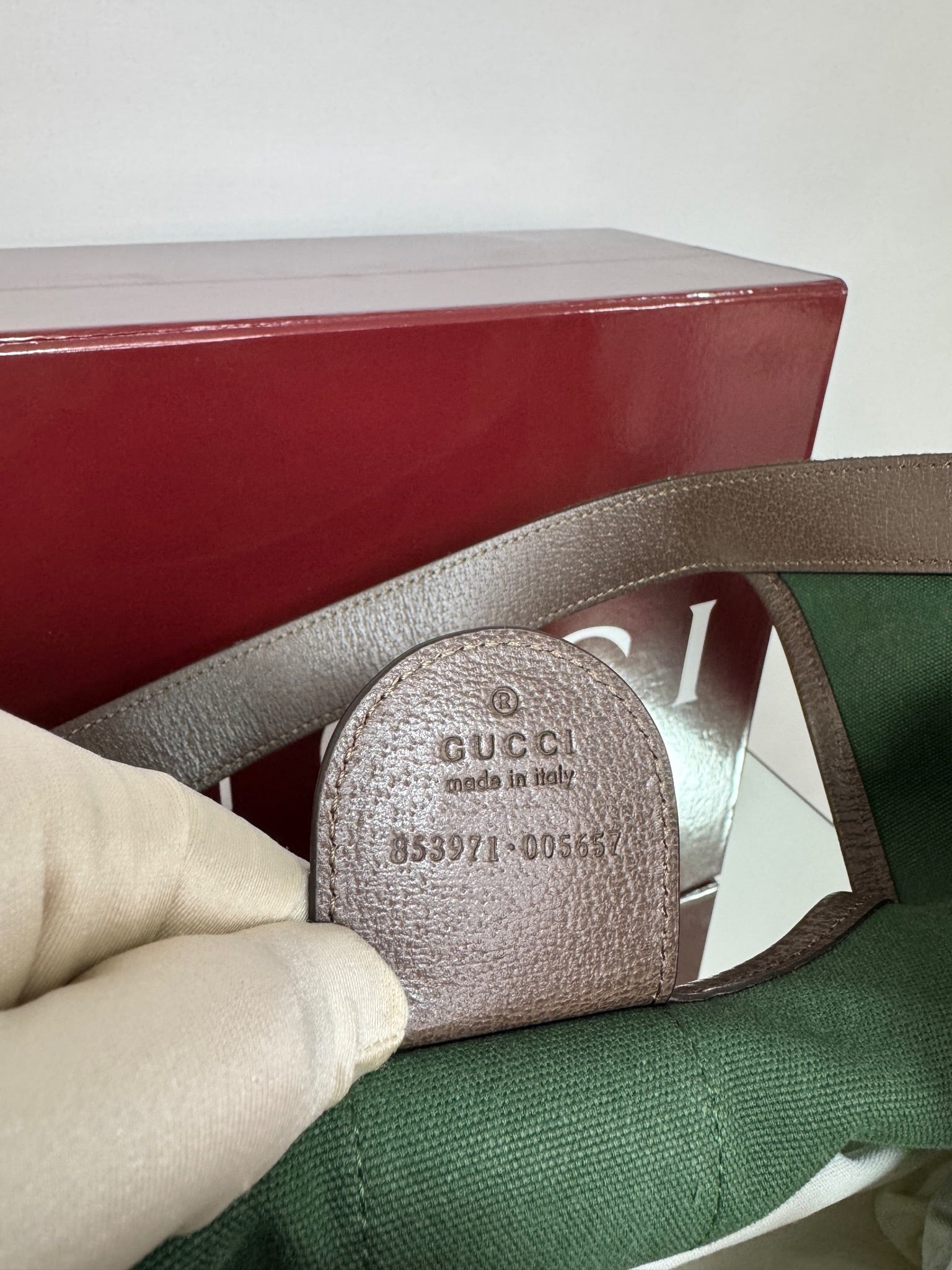 Gucci Giglio Bag – GG Canvas Beige & Dark Brown