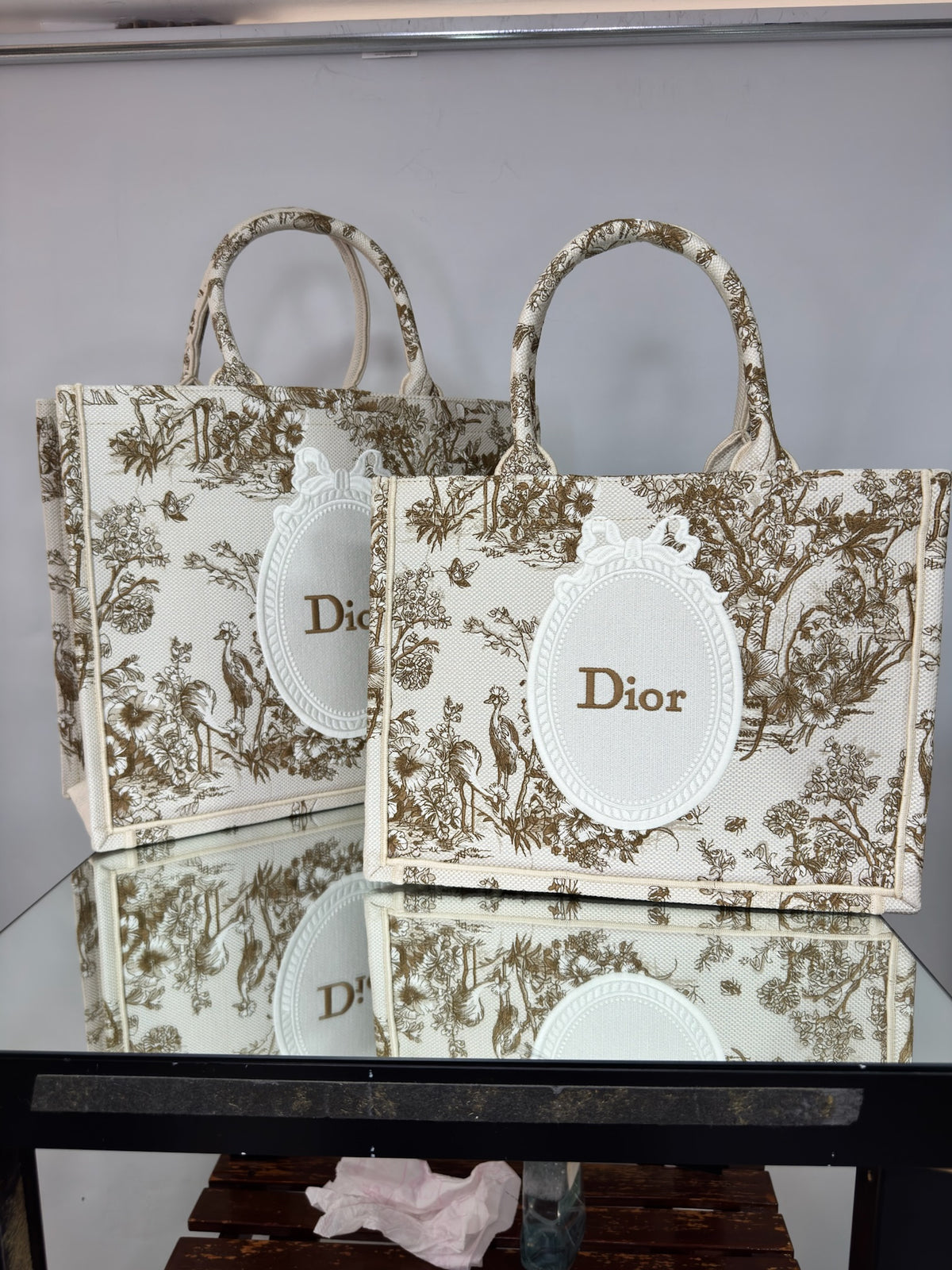 Christian Dior Embroidered Book Tote Bag Toile de Jouy (Gold / Beige)