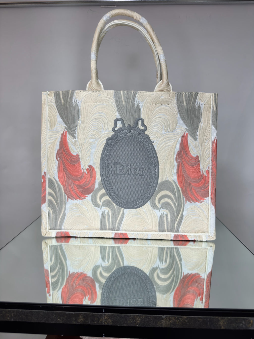 Christian Dior Embroidered Book Tote Bag (Multi-Color / Feather Motif)