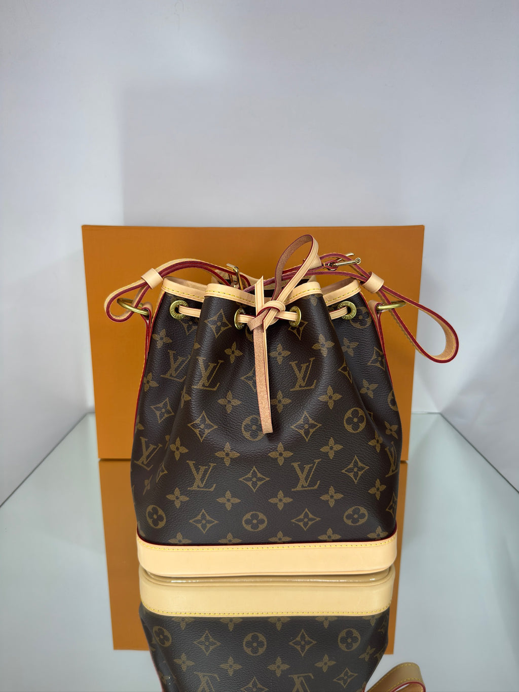 Louis Vuitton Noé Bucket Bag