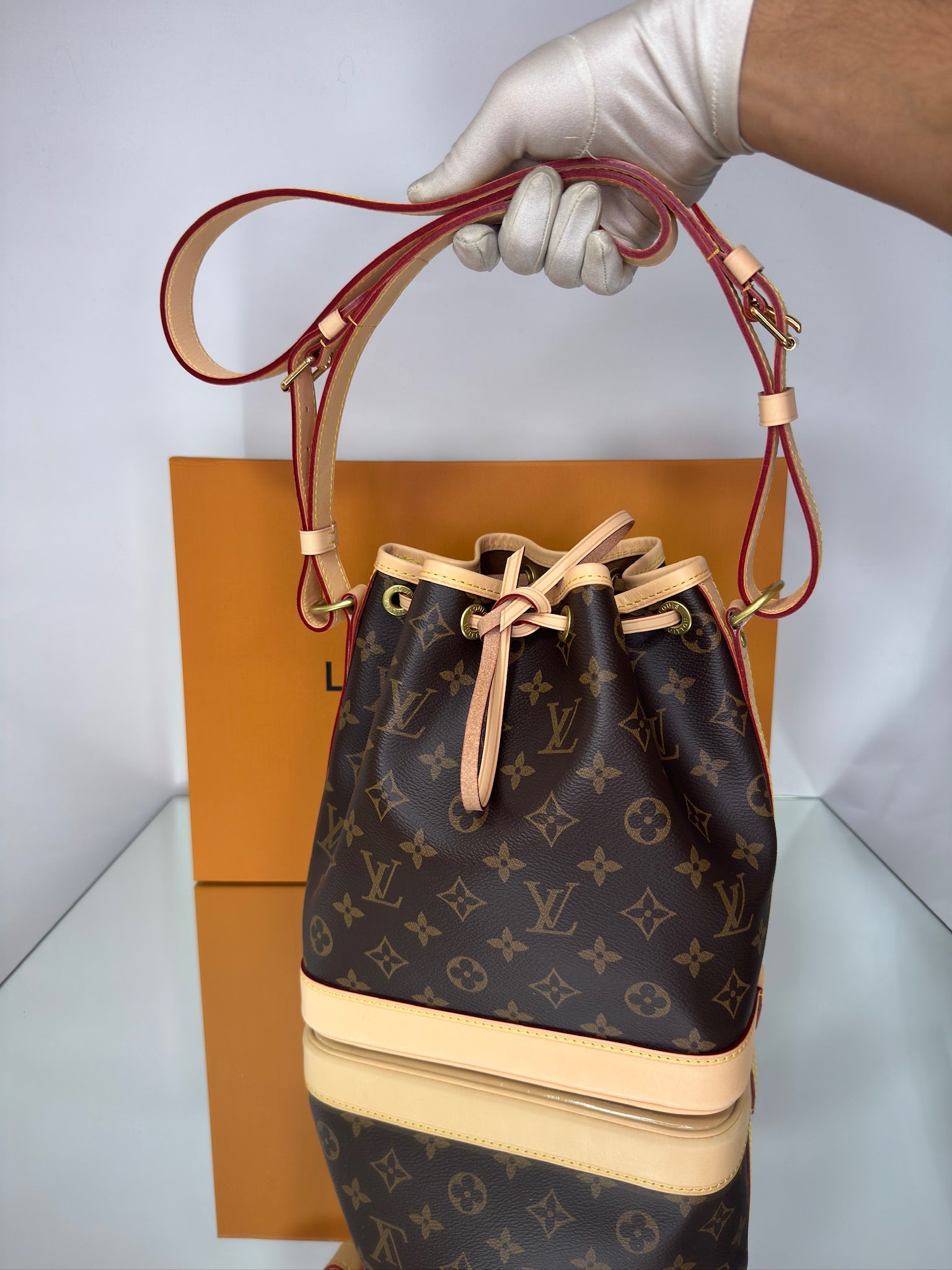 Louis Vuitton Noé Bucket Bag